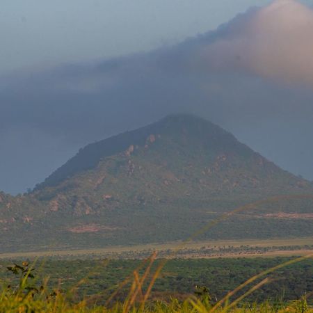 Voi Safari Lodge エクステリア 写真