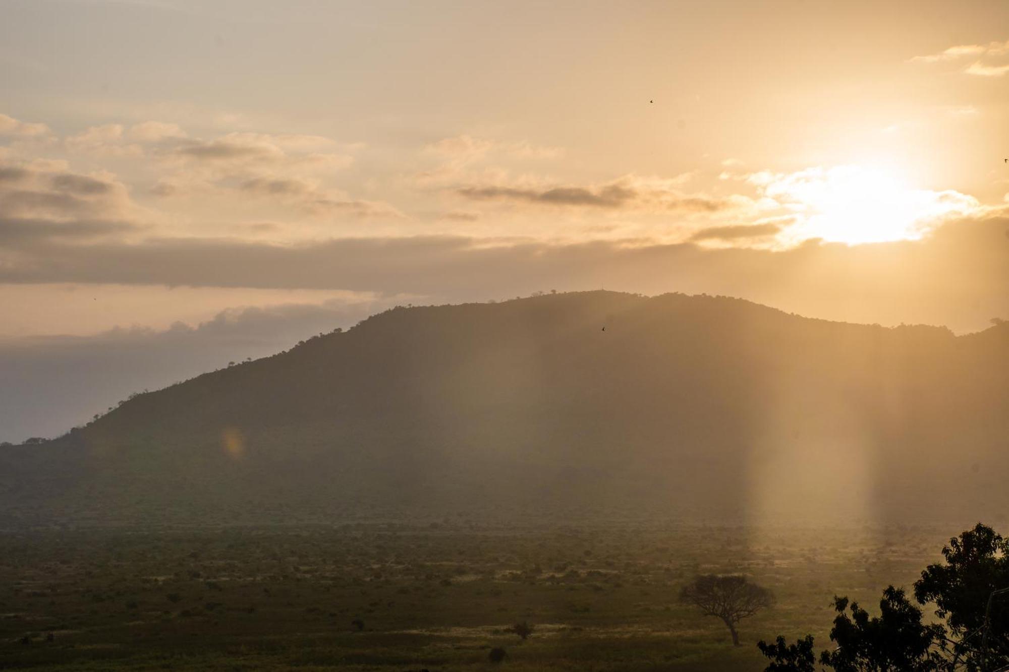 Voi Safari Lodge エクステリア 写真
