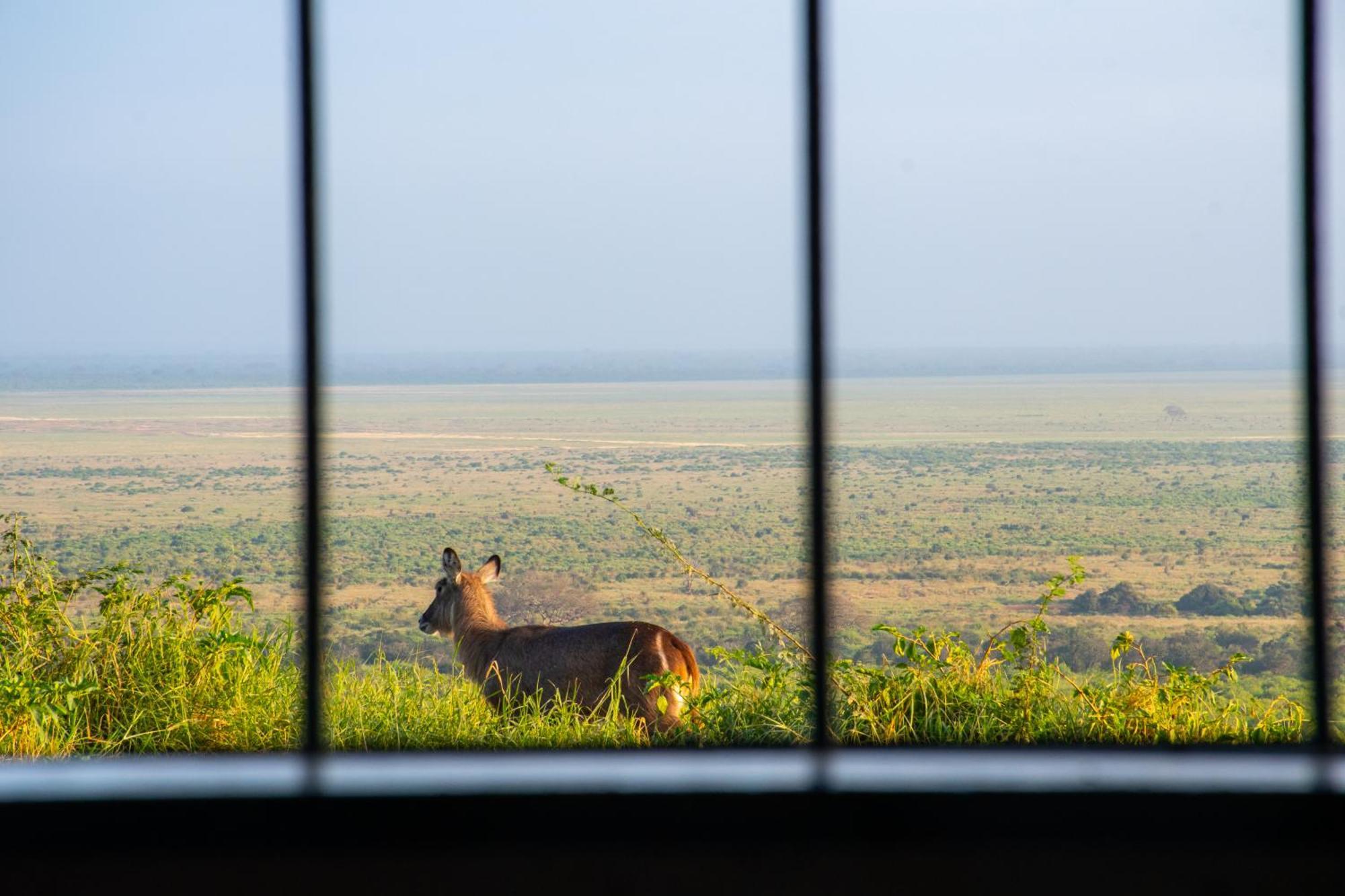 Voi Safari Lodge エクステリア 写真