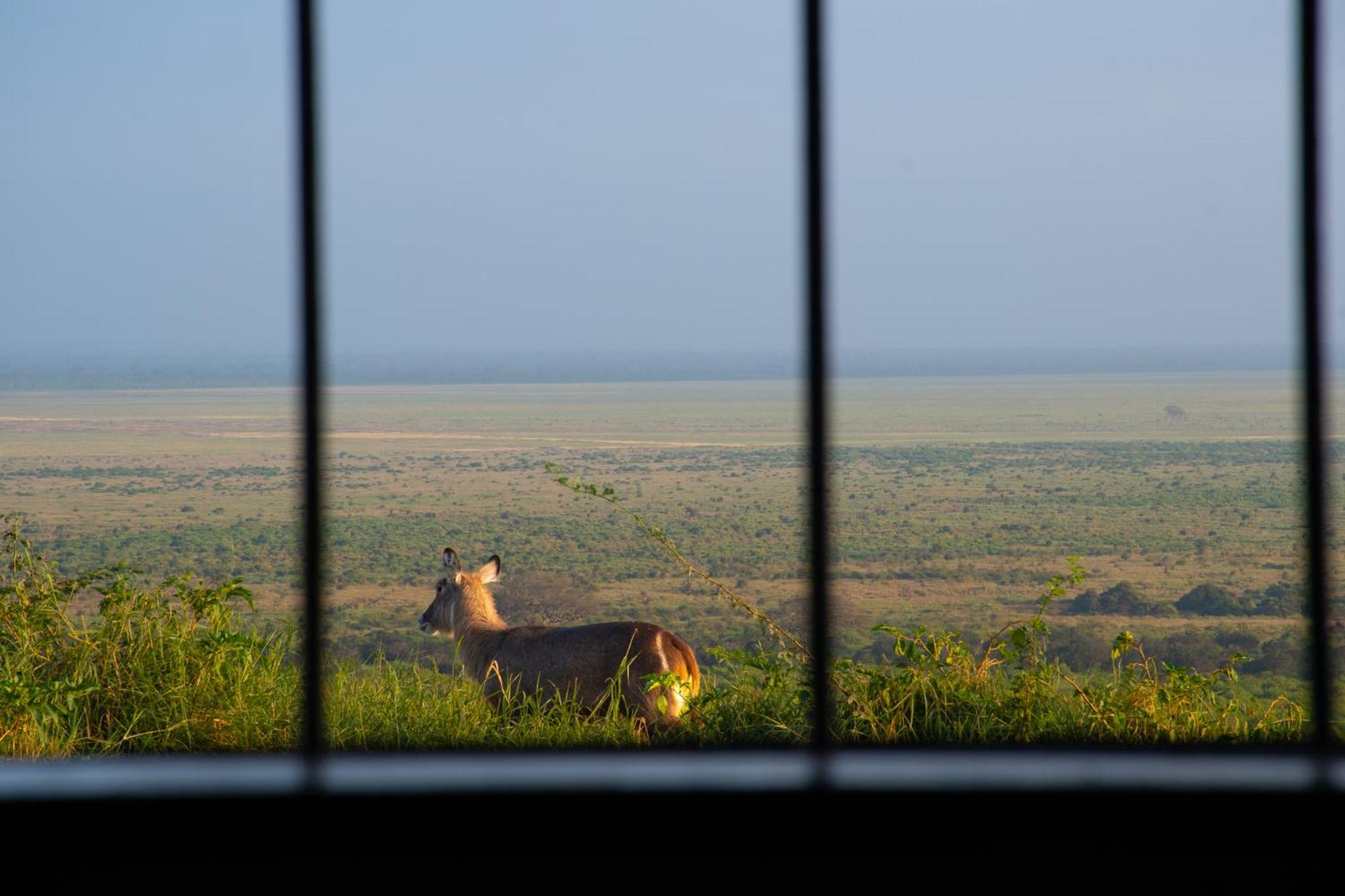 Voi Safari Lodge エクステリア 写真