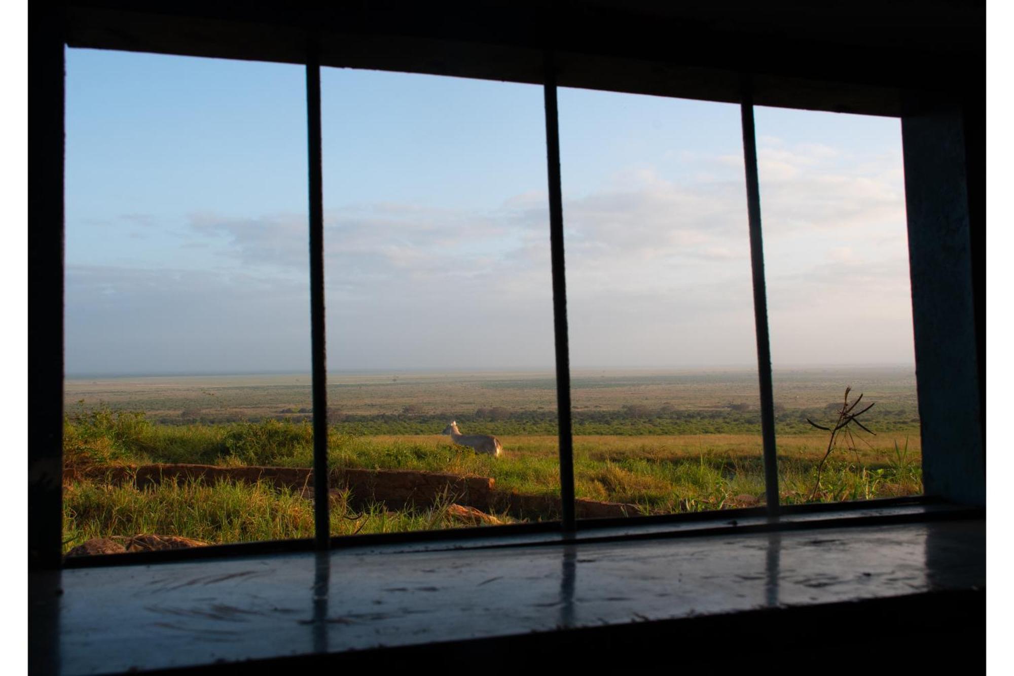 Voi Safari Lodge エクステリア 写真